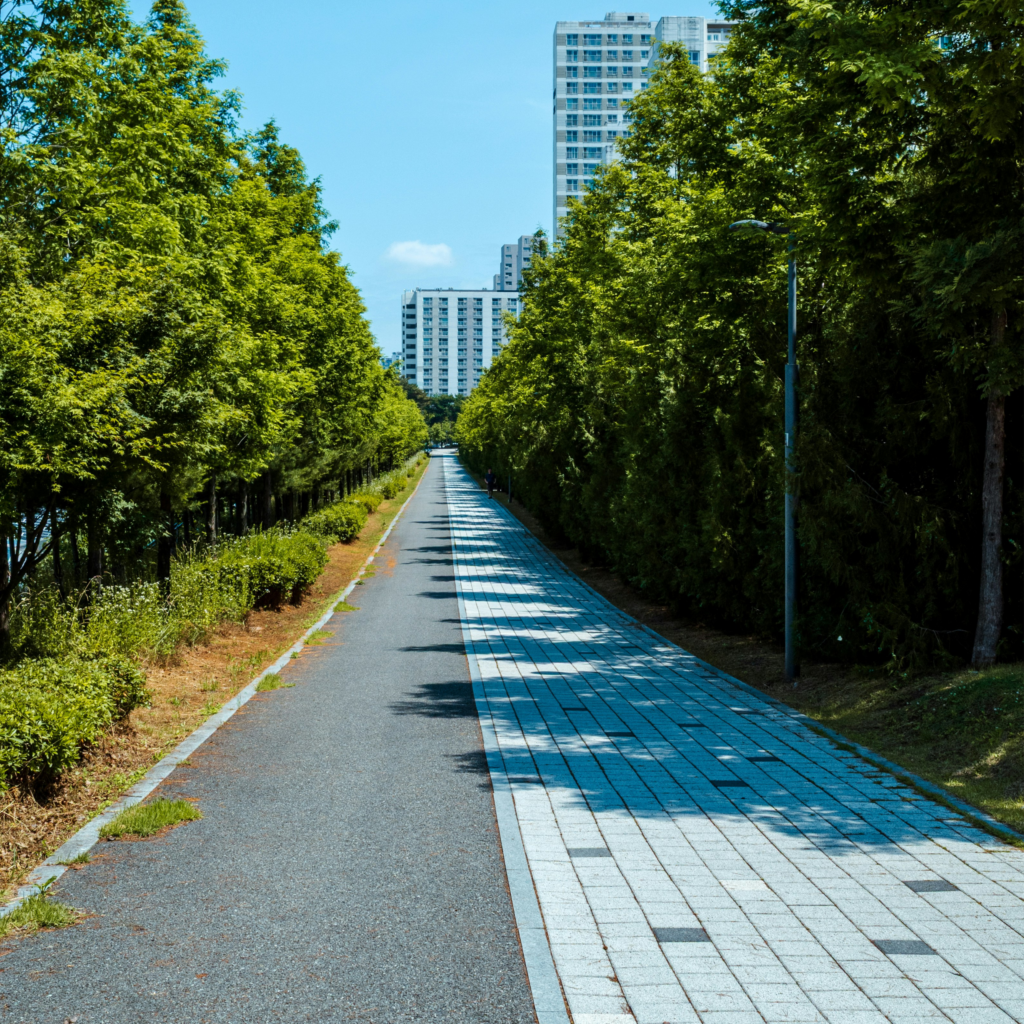 choose your path walkthrough