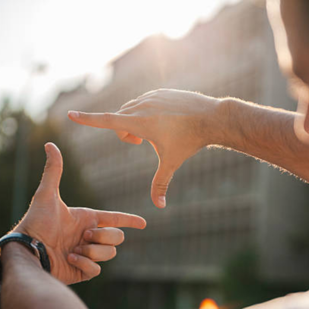 the picture perfect plan