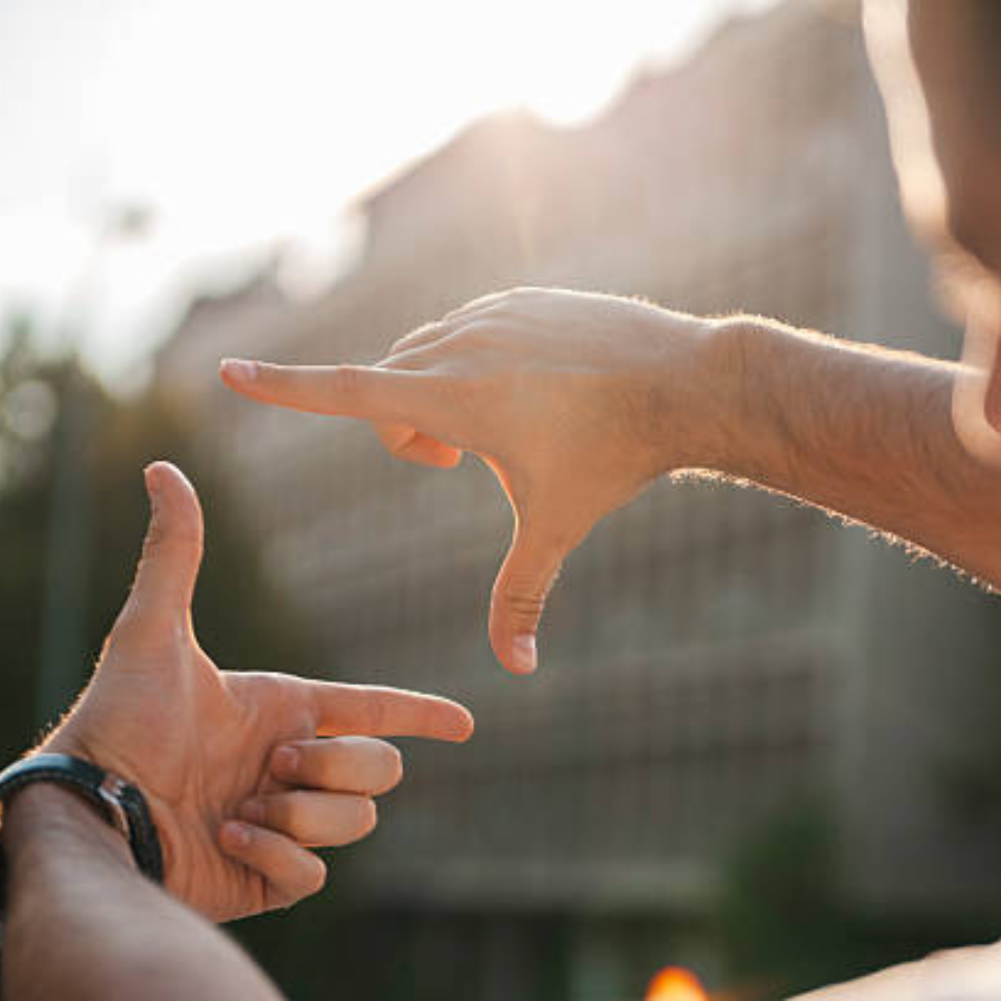 the picture perfect plan